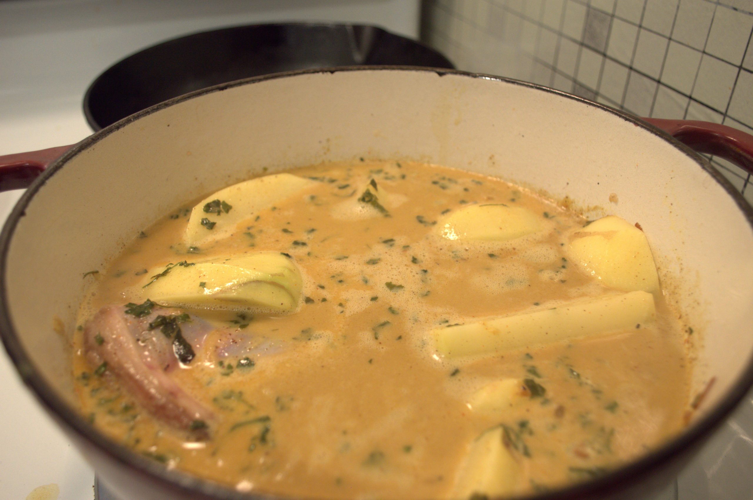 Everything in a pot getting ready to braise